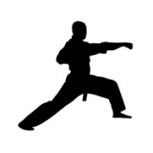 Taekwondo (Miércoles)